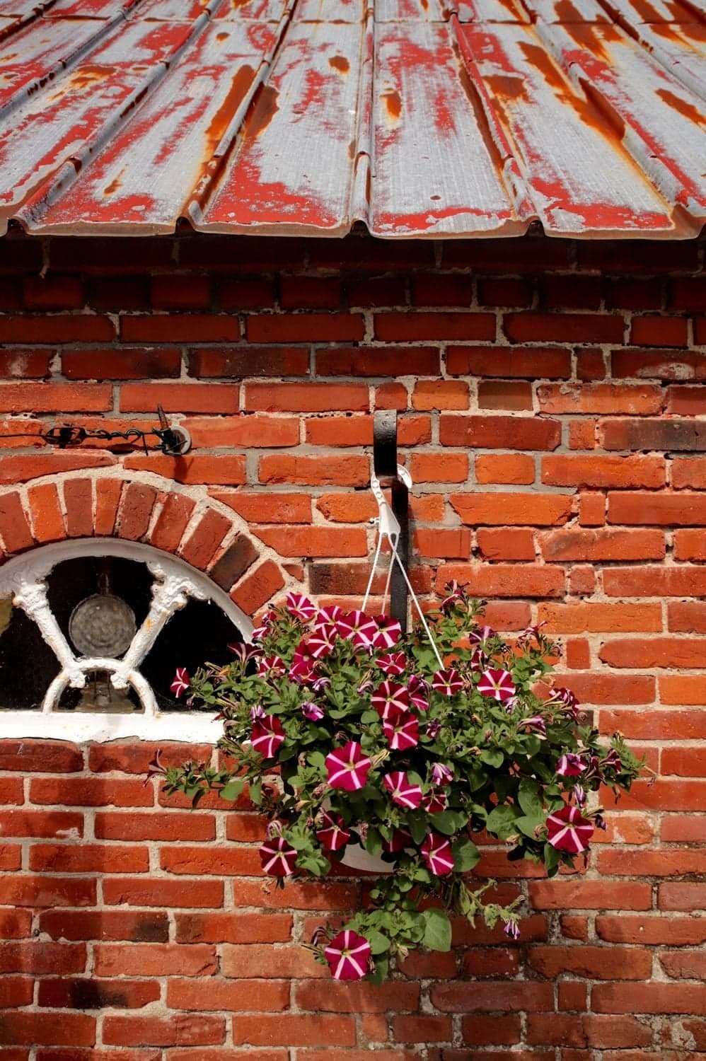 Backsteinwand unter einem rostroten Blechdach mit hängender Blumenampel und einem Rundbogenfenster